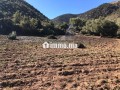 terrain-a-tahanaout-small-5