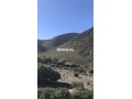 terrain-a-tahanaout-small-7