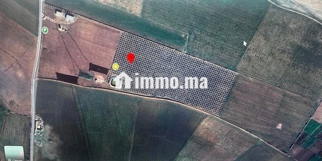 Ferme titré a vendre - Vente Immobilier - Berrechid - photo 1