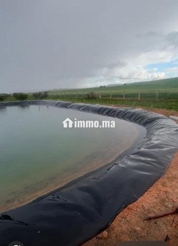 Ferme titré a vendre - Vente Immobilier - Berrechid - photo 3