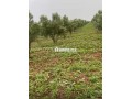 ferme-titre-a-vendre-small-3