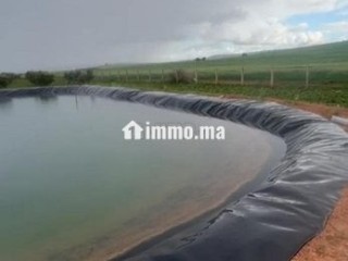 Ferme titré a vendre - Terrain à vendre - Berrechid