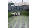 appartement-de-luxe-a-vendre-a-boulevard-massira-khadra-small-19