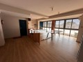 plateau-1open-1p-80m2-a-louer-palmier-small-1