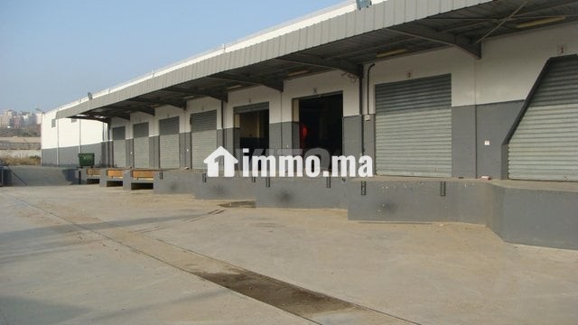 Entrepot industriel Stockage - Industrie - Vente Immobilier - Tanger - photo 1