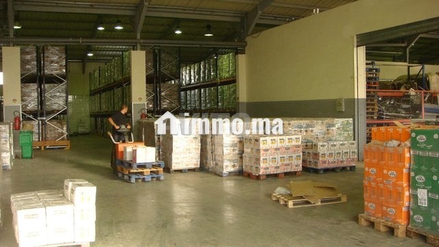 Entrepot industriel Stockage - Industrie - Vente Immobilier - Tanger - photo 3