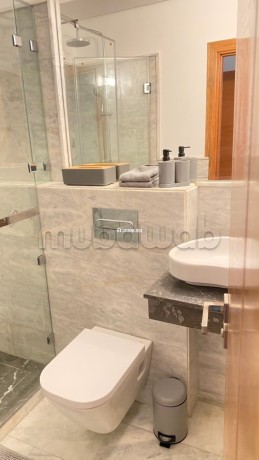 bel-appartement-tres-ensoleille-et-meuble-a-la-ferme-bretonne-big-16