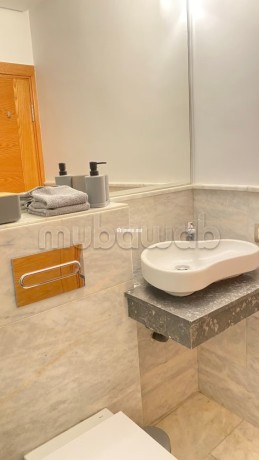bel-appartement-tres-ensoleille-et-meuble-a-la-ferme-bretonne-big-18