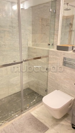 bel-appartement-tres-ensoleille-et-meuble-a-la-ferme-bretonne-big-19