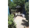 appt-de-3-ch-salon-cour-jardin-au-rdc-small-0