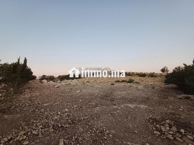 Terrain route de Tlat bogadra - Vente Immobilier - Safi - photo 3