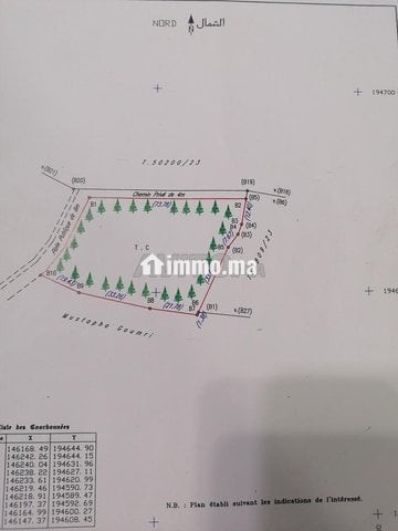 Terrain route de Tlat bogadra - Vente Immobilier - Safi - photo 6