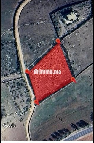 Terrain route de Tlat bogadra - Vente Immobilier - Safi - photo 7