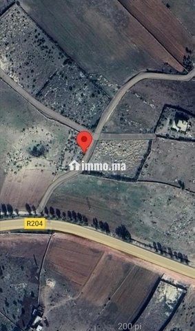 Terrain route de Tlat bogadra - Vente Immobilier - Safi - photo 8