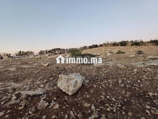 Terrain route de Tlat bogadra - Terrain à vendre - Safi