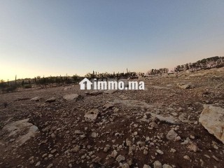 Terrain route de Tlat bogadra - Terrain à vendre - Safi