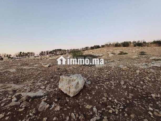 terrain-route-de-tlat-bogadra-big-10