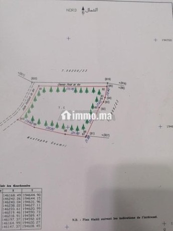 terrain-route-de-tlat-bogadra-big-5