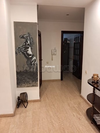 appartement-4ch-salon-terasse-a-louer-a-racine-big-9