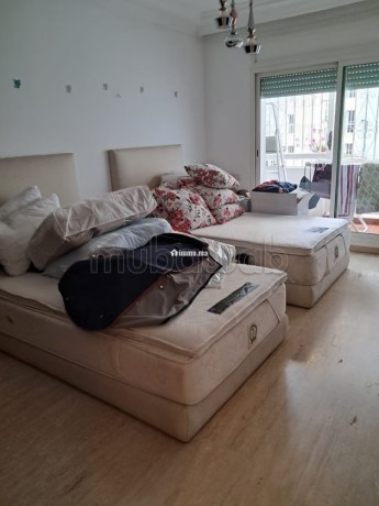 appartement-4ch-salon-terasse-a-louer-a-racine-big-8