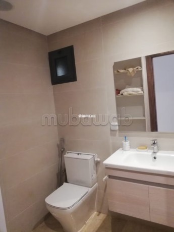 appartement-meuble-a-vendre-a-el-menzeh-big-8