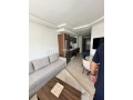 studio-meuble-hd-neuf-a-ferme-bretonne-small-2