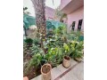 a-vendre-magnifique-villa-a-marrakech-proche-hivernage-small-3