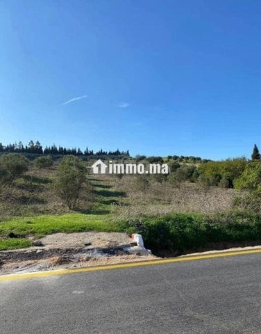 3 hectare et 3000 m2 a vendre route tetouan tanger - Vente Immobilier - Tanger - photo 2