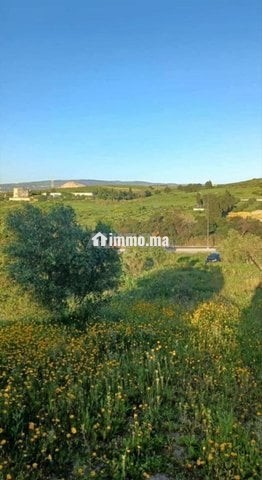 3 hectare et 3000 m2 a vendre route tetouan tanger - Vente Immobilier - Tanger - photo 3