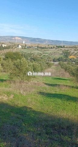 3 hectare et 3000 m2 a vendre route tetouan tanger - Vente Immobilier - Tanger - photo 4