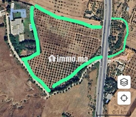 3 hectare et 3000 m2 a vendre route tetouan tanger - Vente Immobilier - Tanger - photo 6