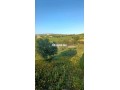 3-hectare-et-3000-m2-a-vendre-route-tetouan-tanger-small-2