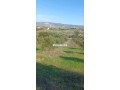 3-hectare-et-3000-m2-a-vendre-route-tetouan-tanger-small-3