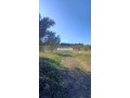 3-hectare-et-3000-m2-a-vendre-route-tetouan-tanger-small-4