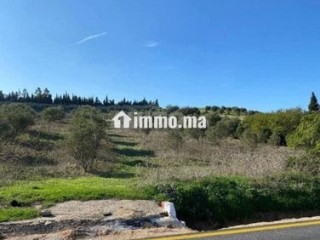 3 hectare et 3000 m2 a vendre route tetouan tanger - Terrain à vendre - Tanger