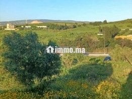 3 hectare et 3000 m2 a vendre route tetouan tanger - Terrain à vendre - Tanger