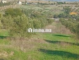 3 hectare et 3000 m2 a vendre route tetouan tanger - Terrain à vendre - Tanger