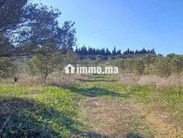 3 hectare et 3000 m2 a vendre route tetouan tanger - Terrain à vendre - Tanger