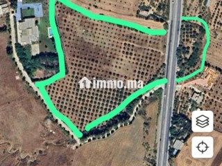 3 hectare et 3000 m2 a vendre route tetouan tanger - Terrain à vendre - Tanger