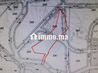 Terrain 36000m2 a vendre route achakar vue sur mer - Terrain à vendre - Tanger