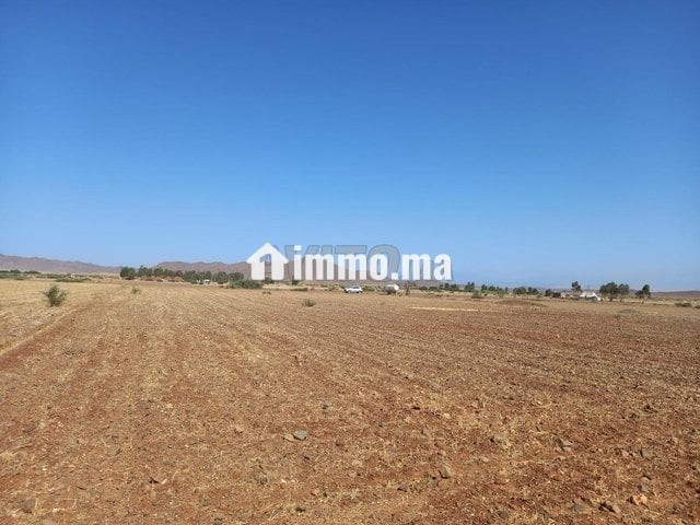 Terrain titré de 180 hectares à Bouros - Vente Immobilier - Marrakech - photo 4