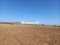 terrain-titre-de-180-hectares-a-bouros-small-2