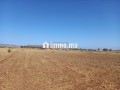 terrain-titre-de-180-hectares-a-bouros-small-3