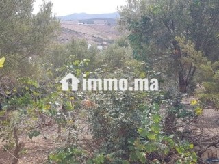 فيلا للبيع(همزة) - Villa à vendre - Tetouan