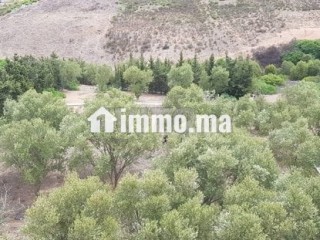 فيلا للبيع(همزة) - Villa à vendre - Tetouan
