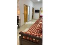 sharaa-alshbar-algdyd-small-4