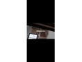 appartement-a-louer-small-5