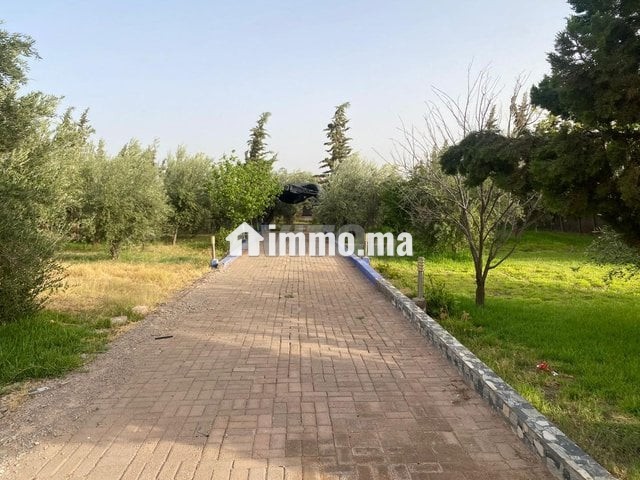 فيلا للبيع بتمن مناسب جدا - Vente Immobilier - Marrakech - photo 4