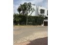magnifique-villa-a-vendre-a-ain-diab-surface-de-450-m2-bien-meuble-small-5