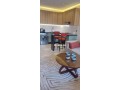 bel-appartement-meuble-2-pieces-a-france-ville-small-1